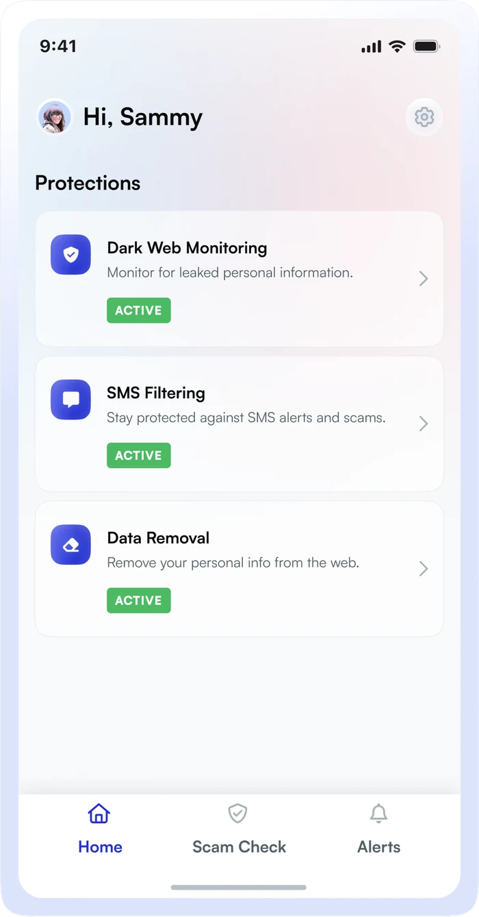 The redesigned Lifeguard mobile protection dashboard